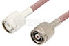 TNC Male to Reverse Polarity TNC Male Cable 12 Inch Length Using RG142 Coax