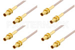 1.0/2.3 to 1.0/2.3 Cable Assemblies