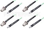 SMA Female to Type N Female Cable Assemblies