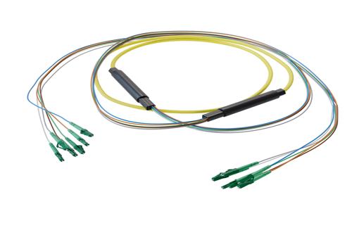 6-Fiber LC APC to LC APC, OS2 Single Mode Distribution Cable, 5.0mm LSZH, 2.0mm breakout, Yellow
