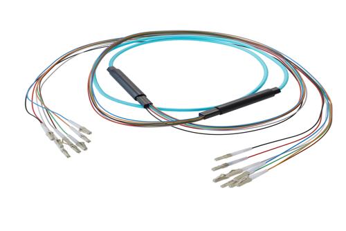 8-Fiber LC UPC to LC UPC, OM4 Multimode Distribution Cable, 5.6mm Plenum, 2.0mm breakout, Aqua-25M