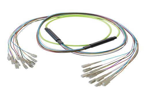 12-Fiber SC UPC to SC UPC, OM5 Multimode Distribution Cable, 6.2mm LSZH, 2.0mm breakout, Lime Green