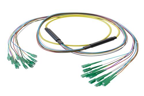 12-Fiber SC APC to SC APC, OS2 Single Mode Distribution Cable, 6.2mm Plenum, 2.0mm breakout, Yellow