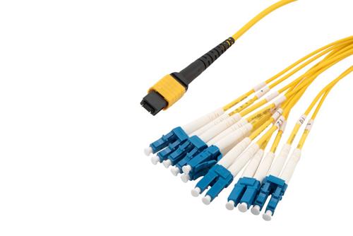 Type B MPO/UPC Male (w/pins) to LC/UPC Clipped fan-out, 2.0mm Diameter, 12 Fiber, Single Mode OS2, OFNP Jacket