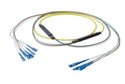 PE3FCA321 - 6-Fiber SC UPC to SC UPC, OS2 Single Mode Distribution Cable, 5.0mm Riser, 2.0mm breakout, Yellow
