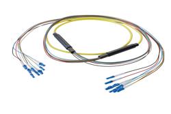 PE3FCA379 - 8-Fiber LC UPC to LC UPC, OS2 Single Mode Distribution Cable, 5.6mm Plenum, 2.0mm breakout, Yellow