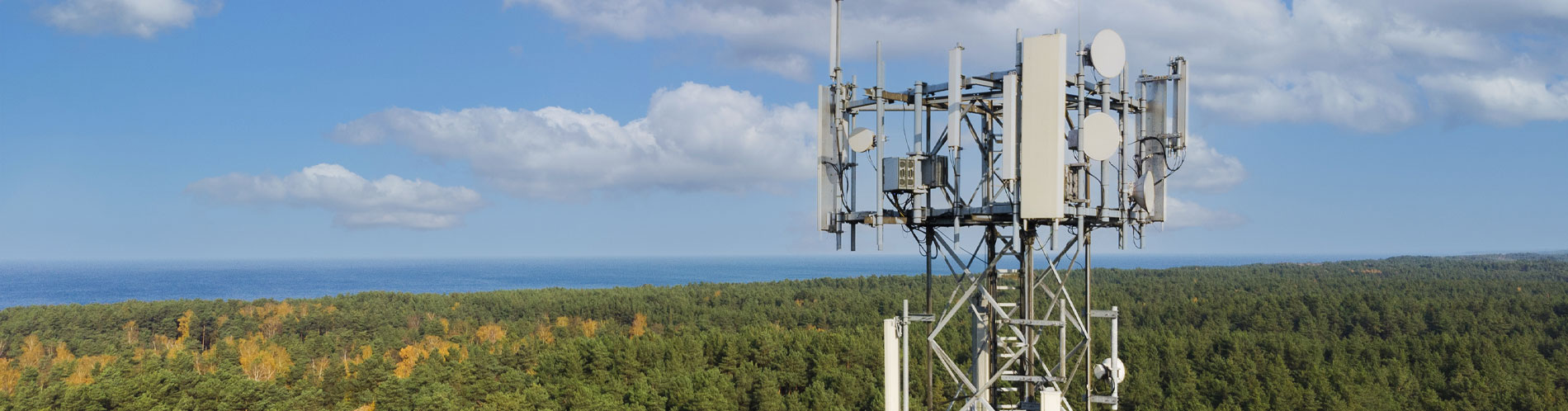 High-frequency RF/microwave frequency dividers